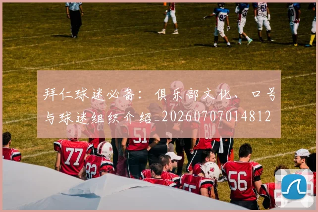 拜仁球迷必备：俱乐部文化、口号与球迷组织介绍_20260707014812